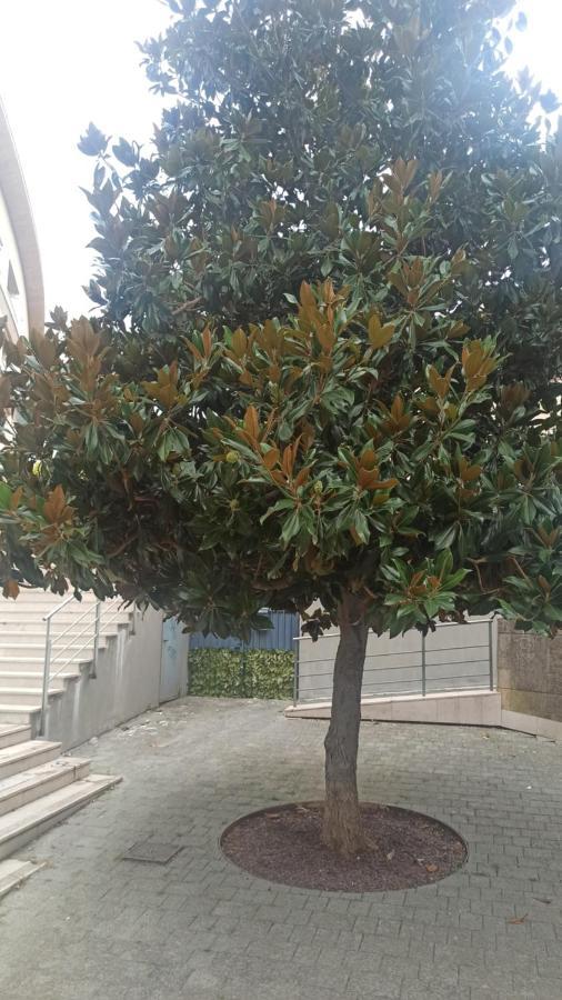 Apartamento Rosselli93 Matera Exterior foto